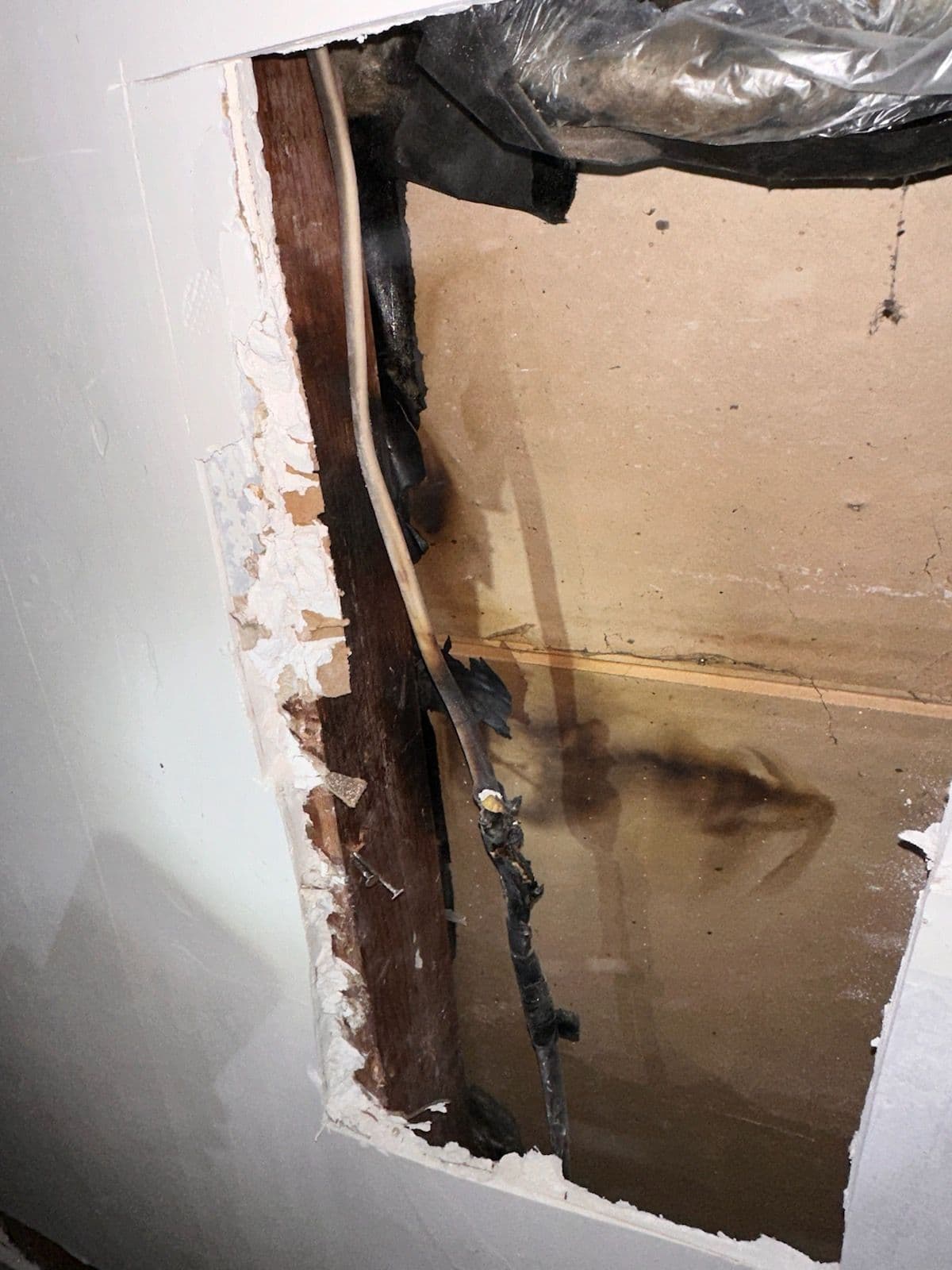 Project Potential Hazards Exposed and Fixed in Merced image